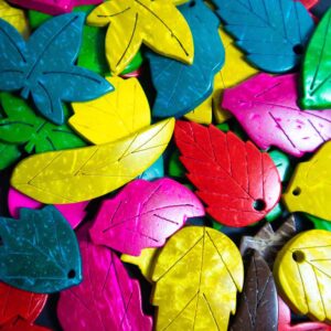 Multi-Coloured Coconut Shell Leaves