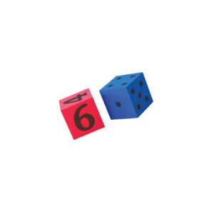 Dice - Assorted - 100mm - 2pc - Dot + Number Bag - Image 1
