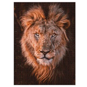 Ambassador - Photographers Collection 1000 Piece Puzzle - African Lion - Image 2