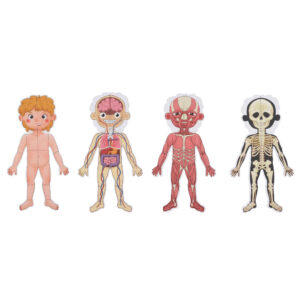 TookyToy - Body Magnetic Chart - Image 4