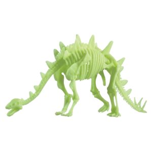 Edu-Toys - Glow in the Dark - Stegosaurus Skeleton - 26cm - Image 3