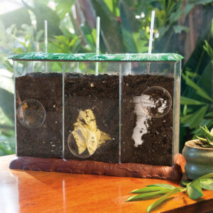 Educational Insights - Now You See It, Now You Don't™ See-Through Compost Container Demonstration Set - Image 4