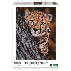 Ambassador - Photographers Collection 1000 Piece Puzzle - Cheetah - Image 3