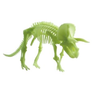 Edu-Toys - Glow in the Dark - Triceratops Skeleton - 22cm - Image 3