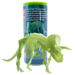 Edu-Toys - Glow in the Dark - Triceratops Skeleton - 22cm - Image 4