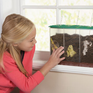Educational Insights - Now You See It, Now You Don't™ See-Through Compost Container Demonstration Set - Image 3