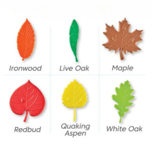 Hand2Mind - Sensory Leaves Math Activity Set - Image 4