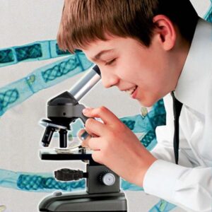 Edu-Toys - Microscope Kit - Optical with Dual Lights - 640x - Image 5