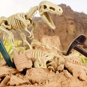 TopBright - Dinosaur Fossil Dig Kit - Tyrannosaurus Rex - Image 4