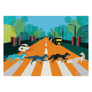 Gibsons - Abbey Road Foxes - Jigsaw Puzzle - 500pcs - Image 2