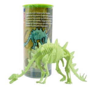 Edu-Toys - Glow in the Dark - Stegosaurus Skeleton - 26cm - Image 4