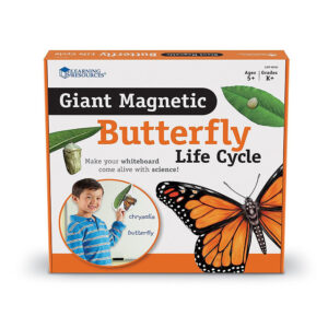 Learning Resources - Giant Magnetic - Butterfly Life Cycle - Image 1
