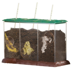 Educational Insights - Now You See It, Now You Don't™ See-Through Compost Container Demonstration Set - Image 5