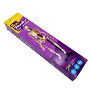 Greenbean - Mini Skeleton - Image 2