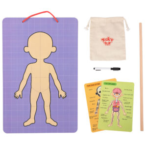 TookyToy - Body Magnetic Chart - Image 3