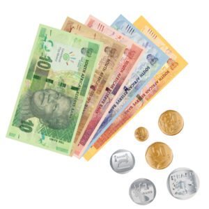 Greenbean - Demo Magnetic Play Money - Image 2