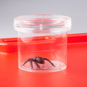 Greenbean - Magnifying Bug Viewer - Insect Exploration STEM Toy - Image 2