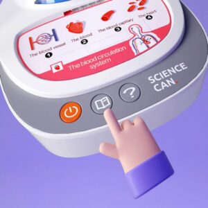 TopBright - My Body Voice Pedia Interactive Talking Anatomy Model for Kids - Image 4